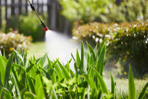 24/7 Emergency Cockroach Control experts in West Haven, UT